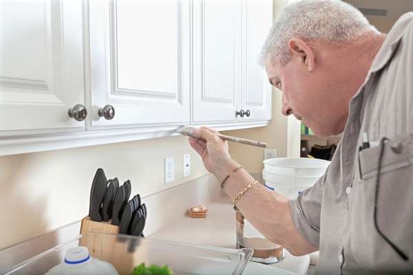 Paint or Stain the Cabinets a Lighter Color