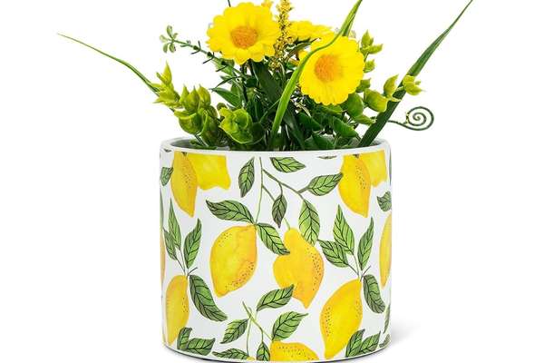 Lemon Planter