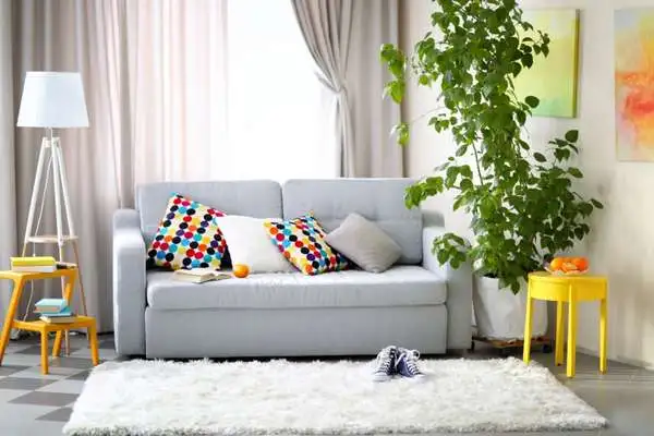 Natural Vibe With Grey Couch