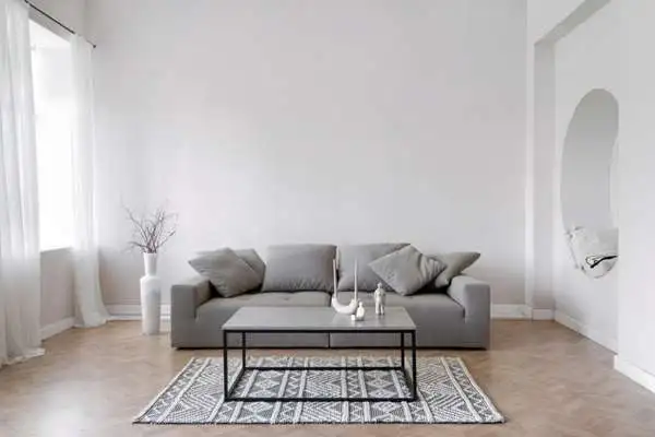 Trendy Grey Sofa for Grey Couch Living Room Ideas